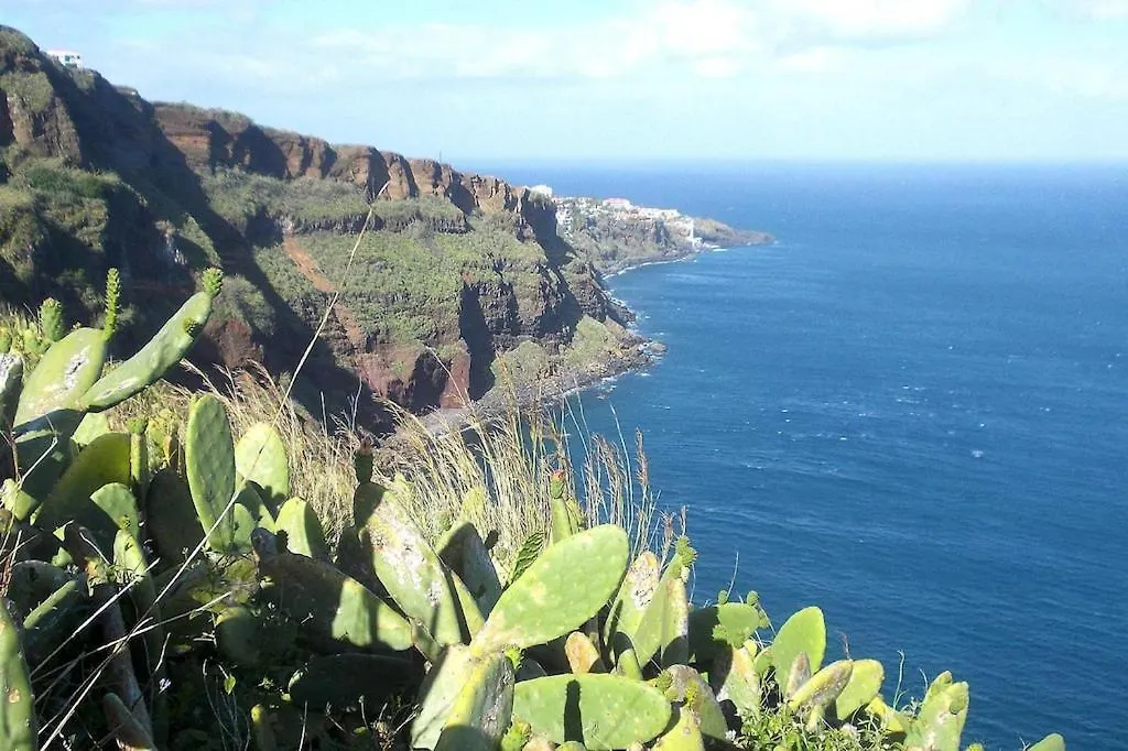 Very Confortable Holiday Villa In Canico, Madeira קאניקו